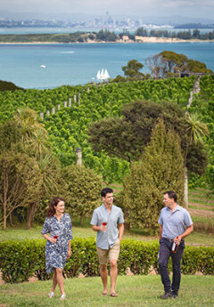 Group of travelers enjoying a glass of wine and walk on Waiheke Island