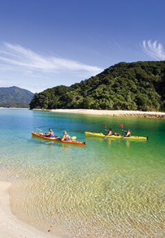 Couples kayaking in Abel Tasman