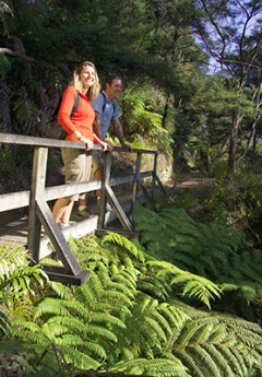 Couple enjoying hike in Abel Tasman, New Zealand