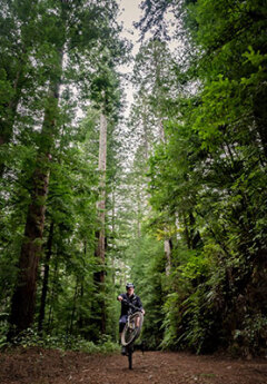 A biker cycling in Redwood forest near Rotorua
