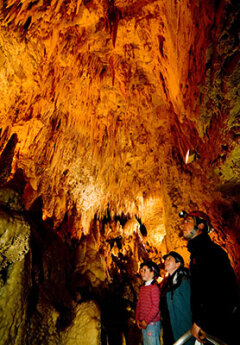 Travelers observing limestone caves in Waitomo