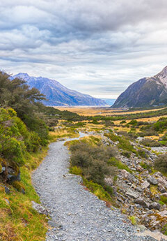 A track in Mount Cook National Park