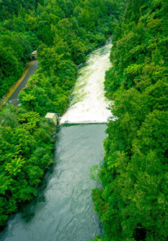 View of Waikato River