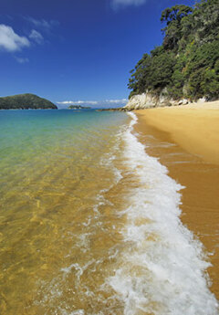 Sandy beach in the Abel Tasman National Park