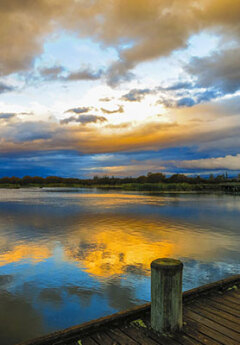 View of Lake Taupo at dawn