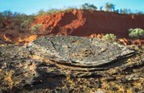 Dinosaur Tracks near Broome