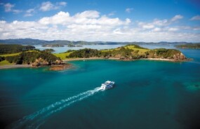 Boast motoring toward an Island near Paihia