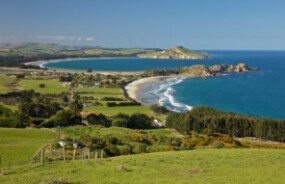 View over the Otago Peninsula