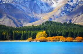 Turquoise blue waters of Lake Tekapo