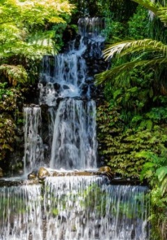 A lush garden with a tall, multi-tiered waterfall cascading down rock steps amidst green ferns.