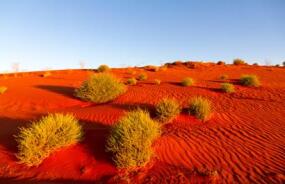 The Pilbara Desert