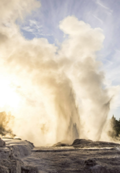 Geysers erupting in Rotorua