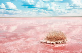 Pink Lake