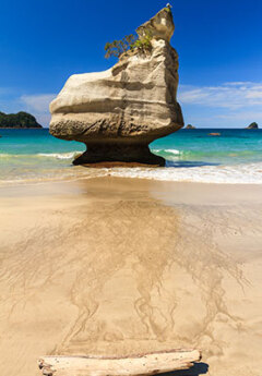 Cathedral Cove in Coromandel Peninsula