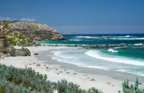 Seal Bay