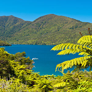 A stunning view over the Marlborough Sounds