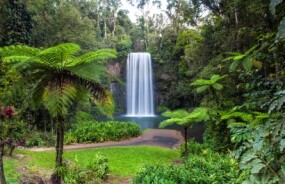 Millaa Millaa Falls in Atherton Tablelands