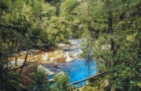 Mt Aspiring National Park
