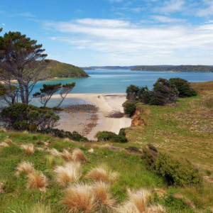 Ocean with Islands and beach with native shrubs