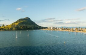 View of Tauranga