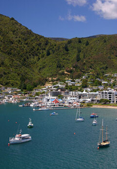 View of Picton Harbour and boats in the Cook Strait