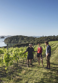 A guide talks to a young couple in a sunny vineyard overlooking a bay.