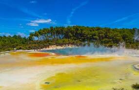 Champagne pools in Rotorua