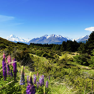 Looking over Aoraki/Mt Cook National Park