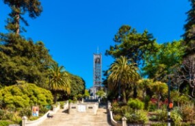 Bell Tower in Nelson