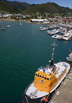 Aerial view of Picton Harbour in Marlborough Sounds, South Island