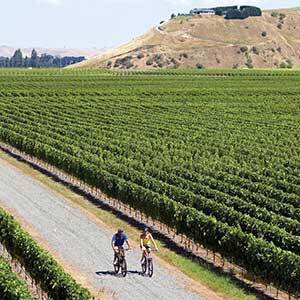 Bike tour through winery's of Hawkes Bay