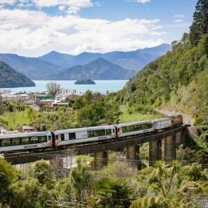 Coastal Pacific Scenic Train