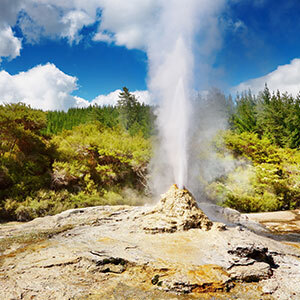 Visit the Rotorua geothermal area
