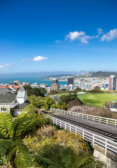 View from above New Zealand's capital, Wellington harbour and the city