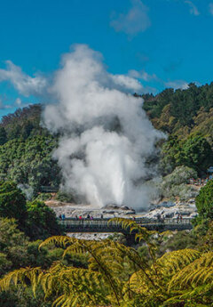 View of Te Puia Geyser near Rotorua