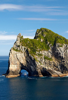 View Hole in the Rock in Bay of Islands