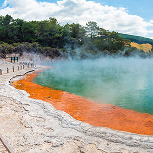 Steam rising from thermal pool in Rotorua