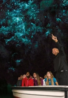 A boat full of tourists looks up at the ceiling of the Waitomo Glowworm Caves.
