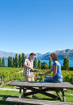 A couple enjoying red wine in Ripon vineyard in Wanaka