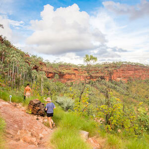 Hikers walking along the Victoria River Escarpment amongst the bush and red rock faces