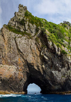 A role in a big rock