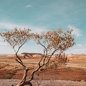 Landscape view of the Painted Hills near Coober Pedy, in outback South Australia