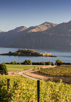 View of Ruby Island and Lake Wanaka from Rippon vineyard