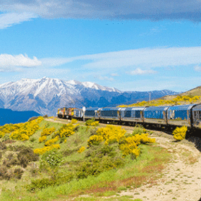 TranzAlpine Train