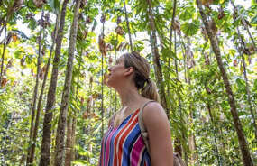 Daintree Rainforest