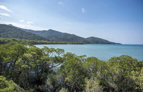 Cape Tribulation