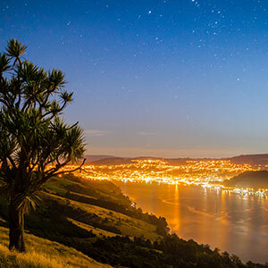 Dunedin