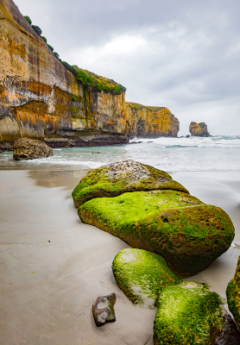 A view from the base of Tunnel Beach, with moody grey skies against the light blue ocean waters, steep stone cliffs in the background and large, mossy stones in the foreground.