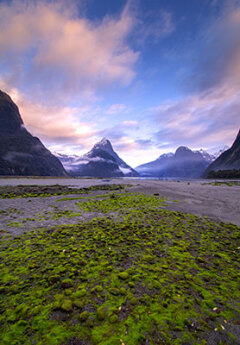 Milford Sound and towering mountains at dusk