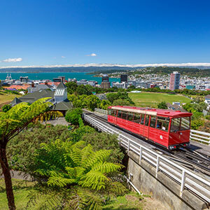 A view of the red Wellington Cable Car moving up the tracks, with the city at learge in the background, as well as the turquiose blue bay, with blue skies and green shrubbery framing the scene.